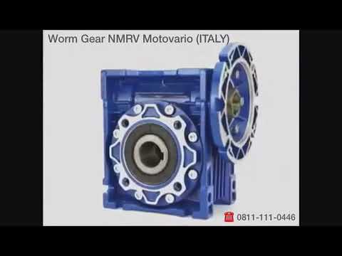Motovario Worm Gearbox