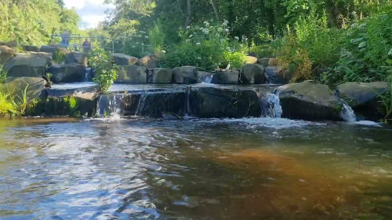 Relaxing Water Sounds for sleeping 20 Minutes of water flowing naturally