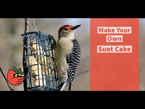 Make Your Own Suet Cake