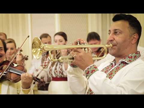 Cristi Tractor & Orchestra Lautarii - Hora cumetrilor