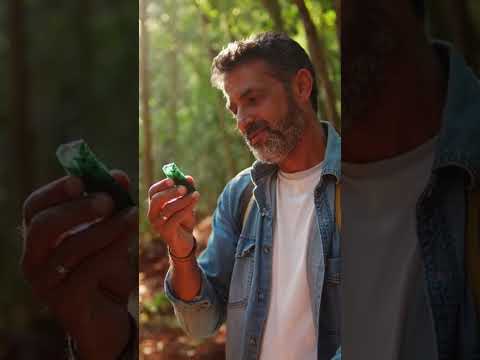 Assista ao vídeo