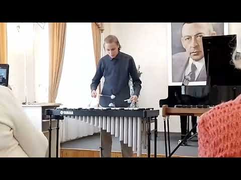 N. J. Zivkovic - Suomineito