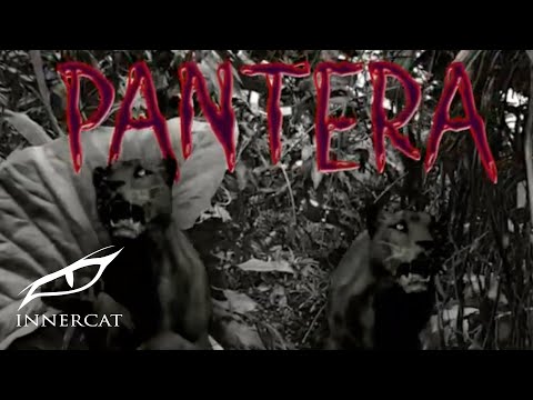 Young Eiby - Pantera (Cover Video)