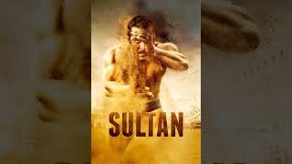Rise of Sultan (Theme Music)- Sultan (2016) - Shekhar Ravjiani - Vishal-Shekhar - 320Kbps