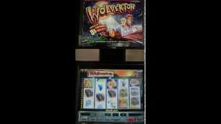 preview picture of video 'Wolverton'