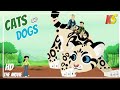 Wild Kratts Cats And Dogs Full Episode In English HD Kratts Series Science