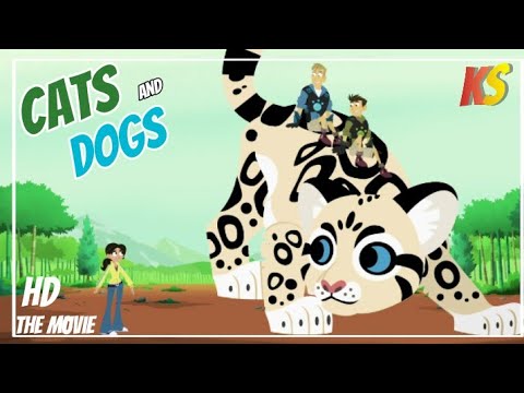 wild kratts - Cats and dogs - Full episode in english - HD - Kratts series - science