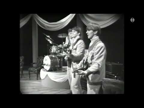 Óðmenn - Óður Óðsmannsins(1967)