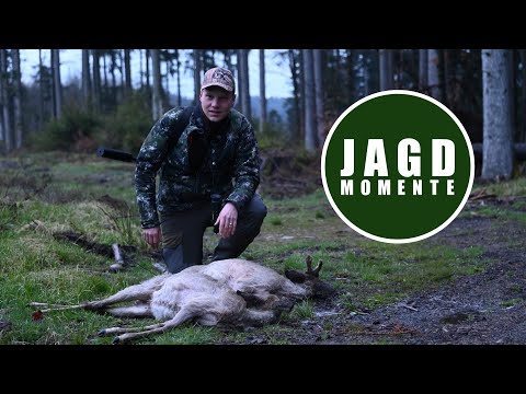 Rehdoublette im April | JagdMomente | HOD Trailer