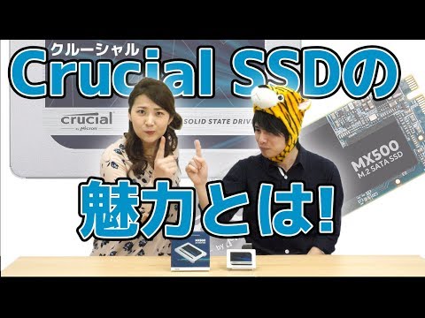 SSDが買いどき!! 最大4000円ギフトカードが当たる「Crucial冬のキャンペーン」って？※キャンペーンは終了しました※