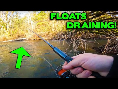 BOBBER Downs! SMALL STREAM Steelhead Fishing MADNESS.