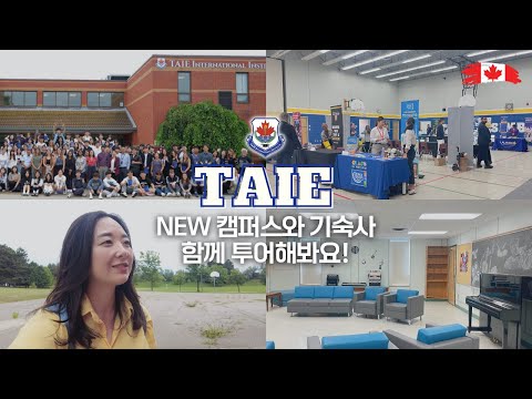 브듀TV 영상