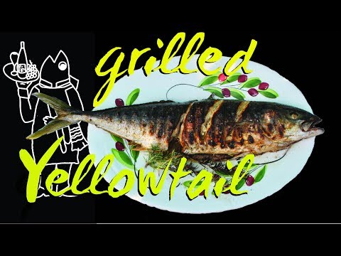 Catch And Cook Yellowtail Recipe? ๐ Whole Grilled Fish Starring a 7lb Yellowtail!