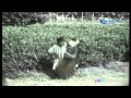 Ooril Ulla Pombalainga Song HD Pudhiya Poovithu