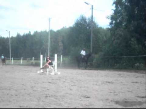 Kuusikorven SEISKAT 2011♥
