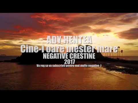 Negativ crestin Cine-i oare meşter mare