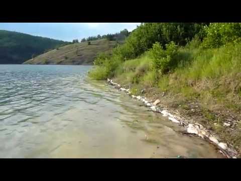 On the Shore of Cinciș Lake, May 2014.