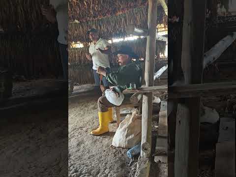 Making the Best Quality Cigars in the World | Viñales, Cuba