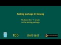 Testing package in Golang | #1
