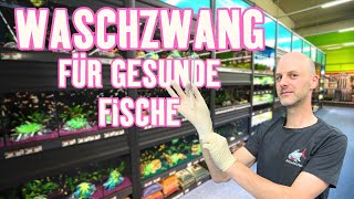 Zapobieganie krzyżowaniu zyworowek