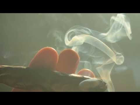 Mcn Lildee - Smokin Dead Opps ft TreFrm1800