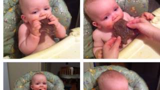 SweetDreams Brantley Garrett Farmer