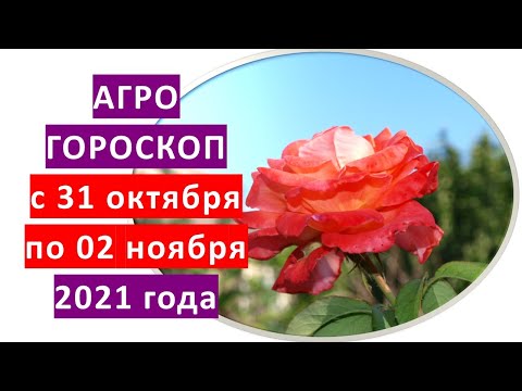 , title : 'Агрогороскоп с 31 октября по 02 ноября 2021 года'