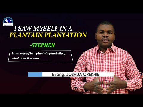 I Saw Myself In A Plantain Plantation - Your Biblical Dream Meaning