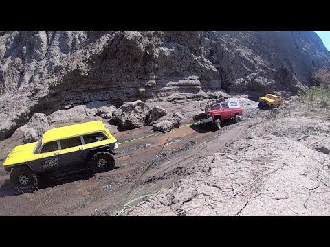 Run for the Drumm 2023