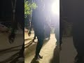 Giral Ba Babura Jham Se Ytshorts Virulshort Bhojapurihitsong Dancevideo