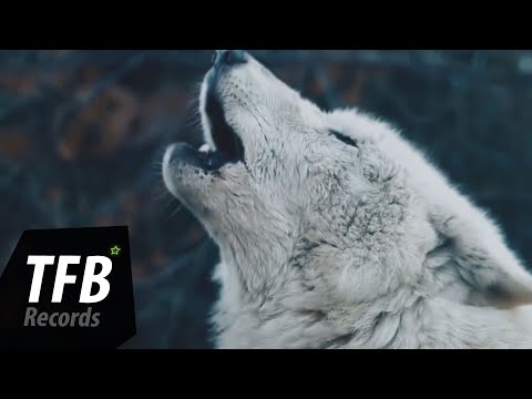 Can Sezgin - Random (Original Mix)