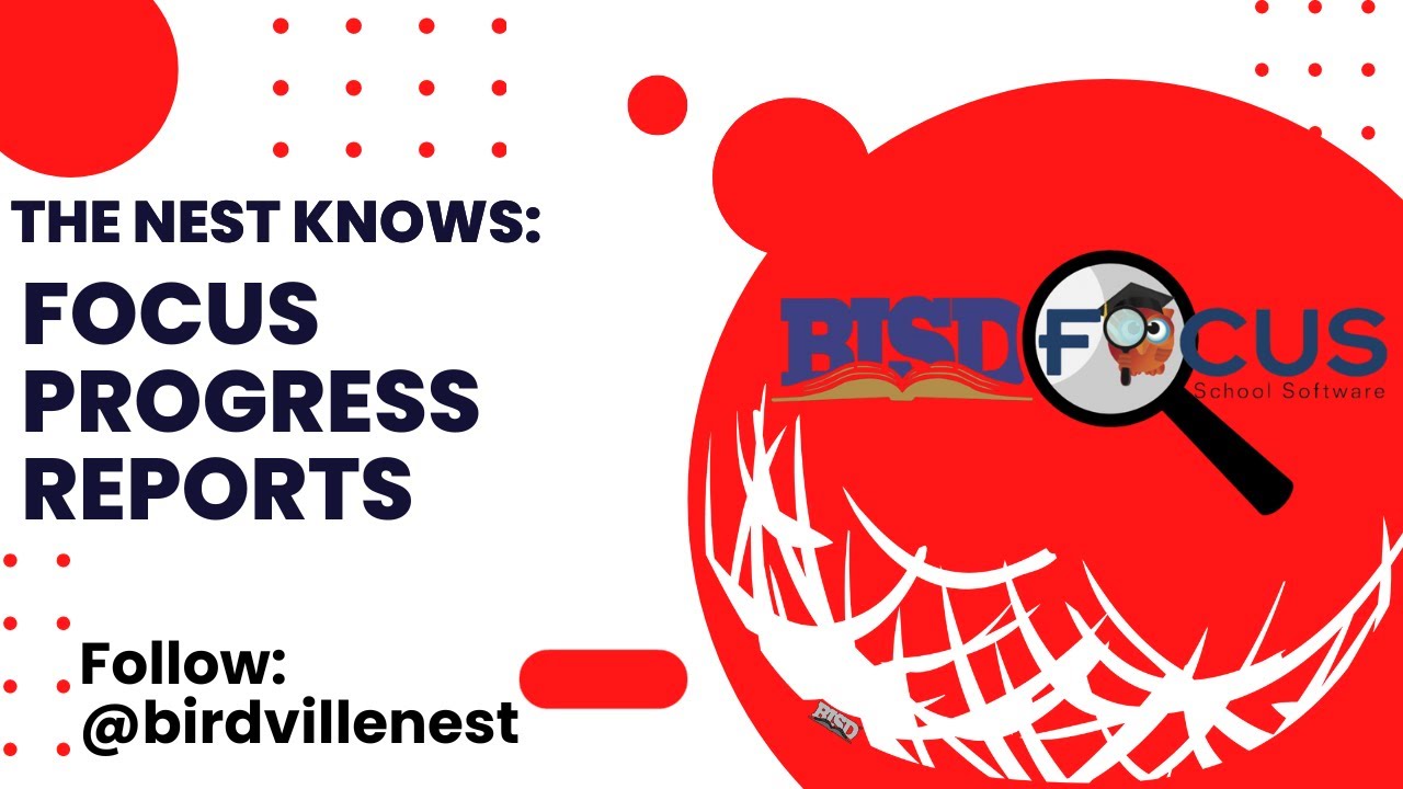 Focus Progress Reports