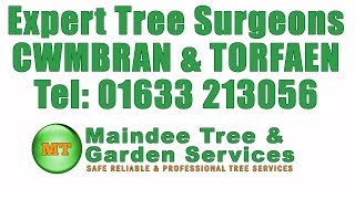 preview picture of video 'Tree Surgeon Cwmbran'