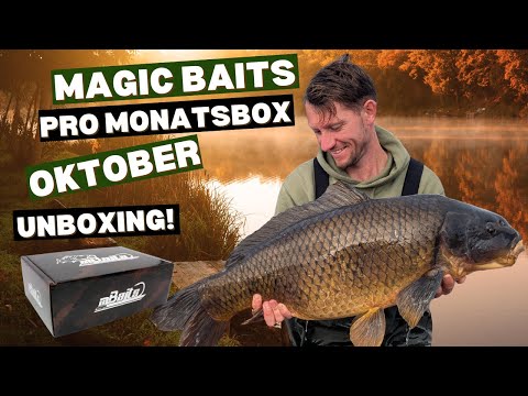 Die Magic Baits Pro Monatsbox Oktober 2025 im Unboxing! Alles für Karpfenangler!