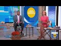 Amy Robach Compilation