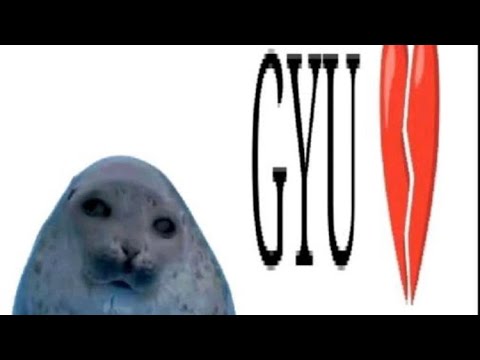 Seal compilation video  `(*∩_∩*)′