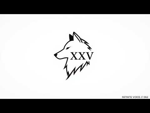 INFINITE VOICE // 62  SUNSHINE STATE OF MIND
