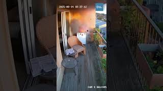 German Shepherd Pulls Owner Inside Seconds Before Exploding Balcony Washer Falls