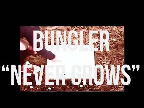BUNGLER - NEVER GROWS (Official Lyric Video)