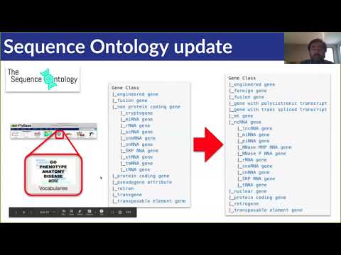 What's New at FlyBase: the FlyBase Workshop at the 62nd Annual Drosophila Research Conference