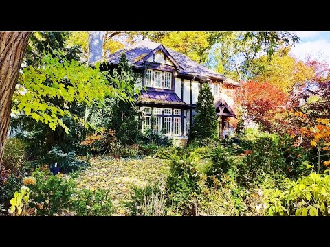 Beautiful Autumn Foliage Colors in Old Toronto Neighborhood | 4K