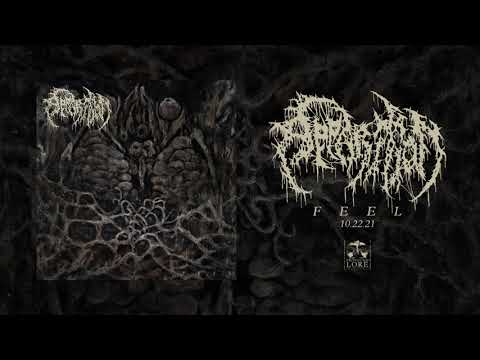 APPARITION - Nonlocality (official audio)