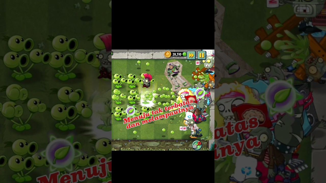 Subtitle - Text Video - 2