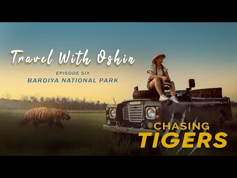 Persiguiendo tigres | Refugio de vida silvestre de fama mundial | Episodio 6