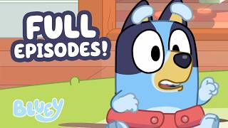 🔴LIVE: It's Baby Bluey! 🍼 | Baby Race Full Episode | 2 HOURS of Bluey 💙 | Bluey 