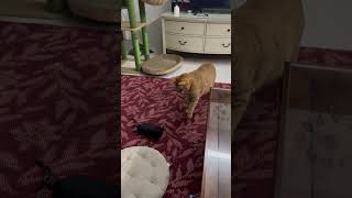 恐る恐る…