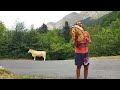 Chant Pour L Ascension De Gaïa Et Pour Ton Ascension