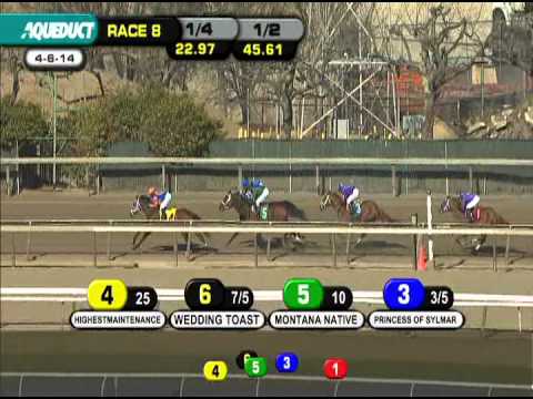 Princess of Sylmar - 2014 Cat Cay Stakes