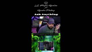Ball Python & Snake Q&A