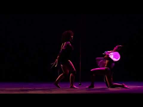 Campeonato Pole Art Curitiba/2019 Clau Borba e Letícia Telles  Categoria profissional Mortal kombat